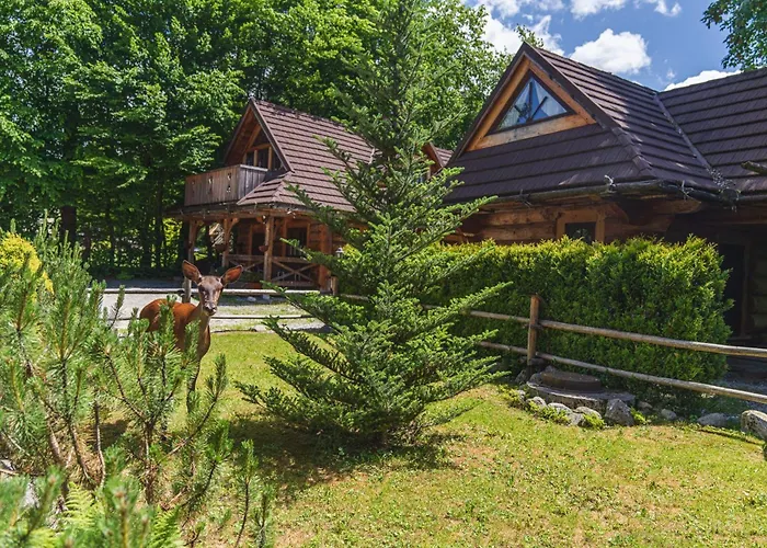 Mountain Shelter Zakopane