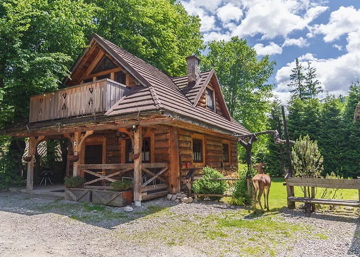 Chalet Mountain Shelter