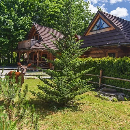 Mountain Shelter Zakopane