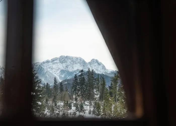 Mountain Shelter Chalé *